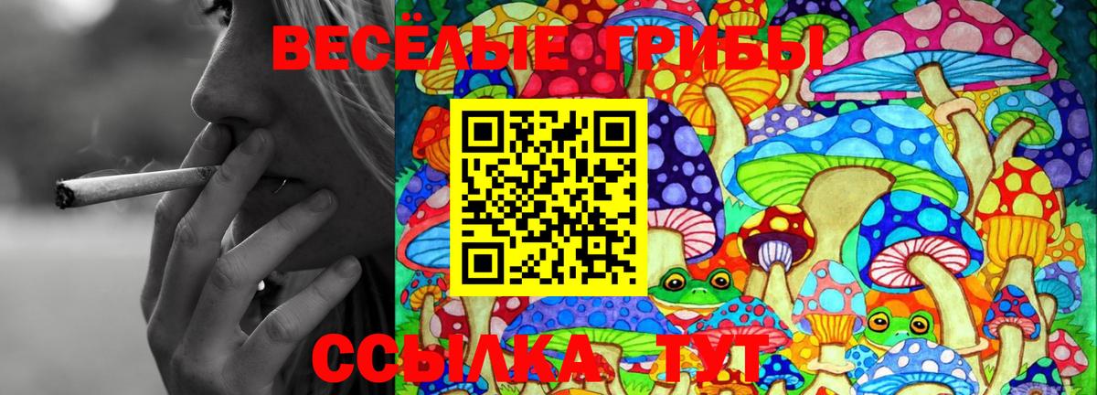 Галлюциногенные грибы MAGIC MUSHROOMS Чернушка