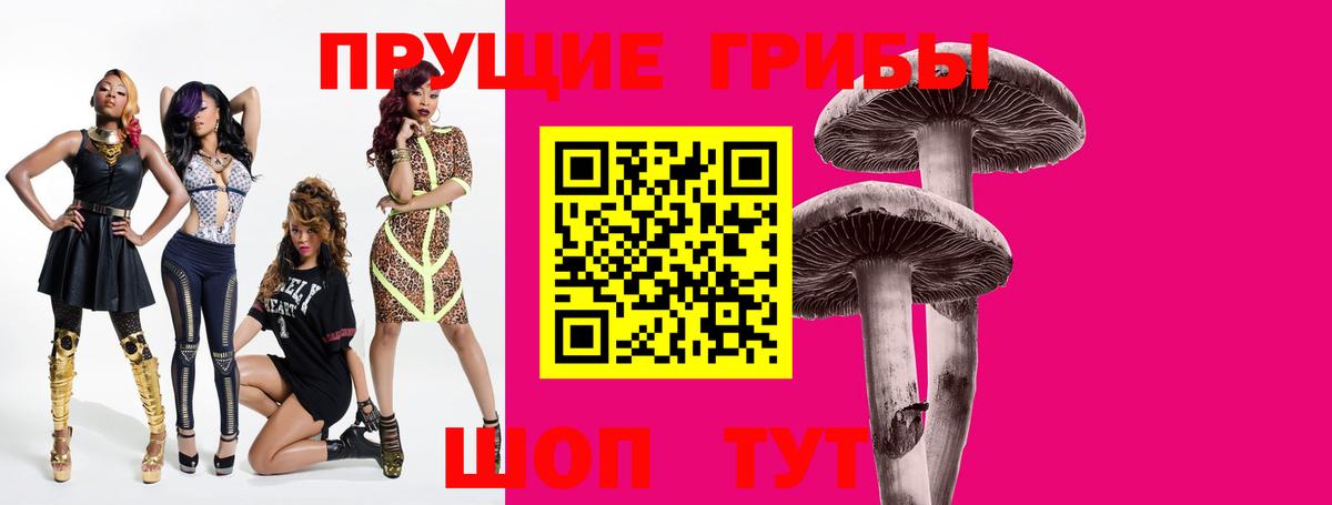 Чернушка  Галлюциногенные грибы MAGIC MUSHROOMS  Галлюциногенные грибы GOLDEN TEACHER  Вход с VPN 